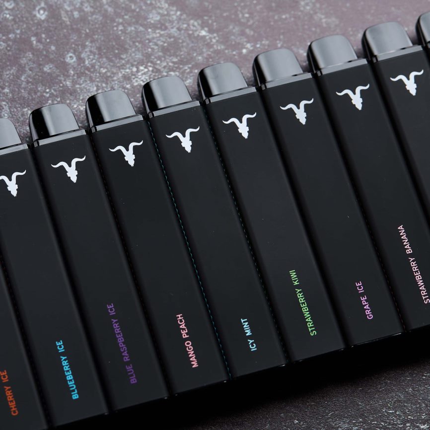 Ignite Vape Opinie | IGNITE V15 długopis do waporyzacji mentol 0648NZ114